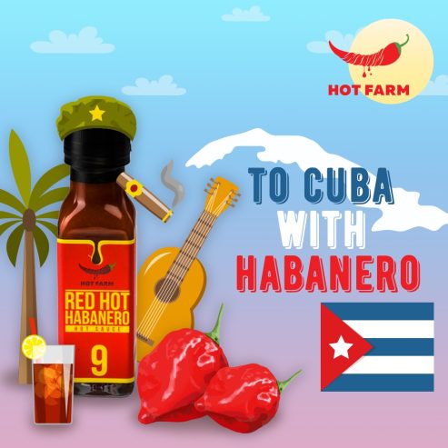 Rote Habanero-Sauce